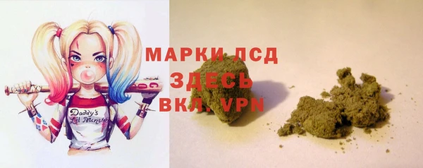 spice Новодвинск