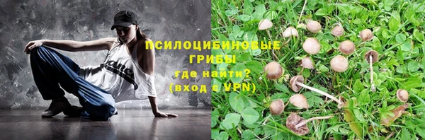 spice Новодвинск