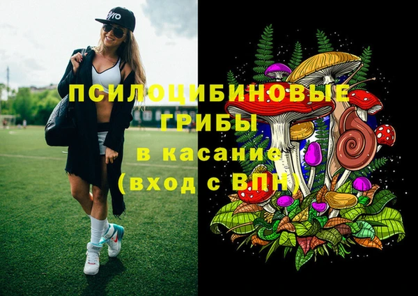 бошки Новокубанск