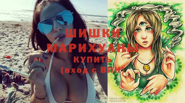spice Новодвинск