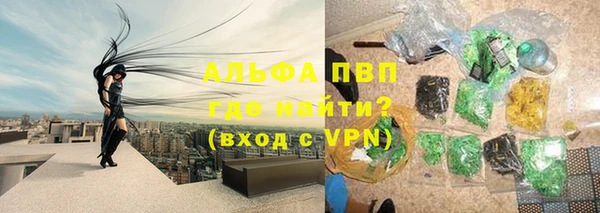 spice Новодвинск
