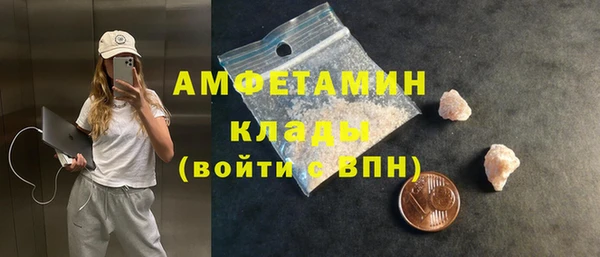 spice Новодвинск