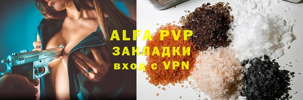 spice Новодвинск