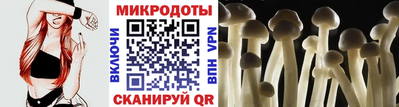 дарк нет Telegram Полысаево Псилоцибиновые грибы MAGIC MUSHROOMS