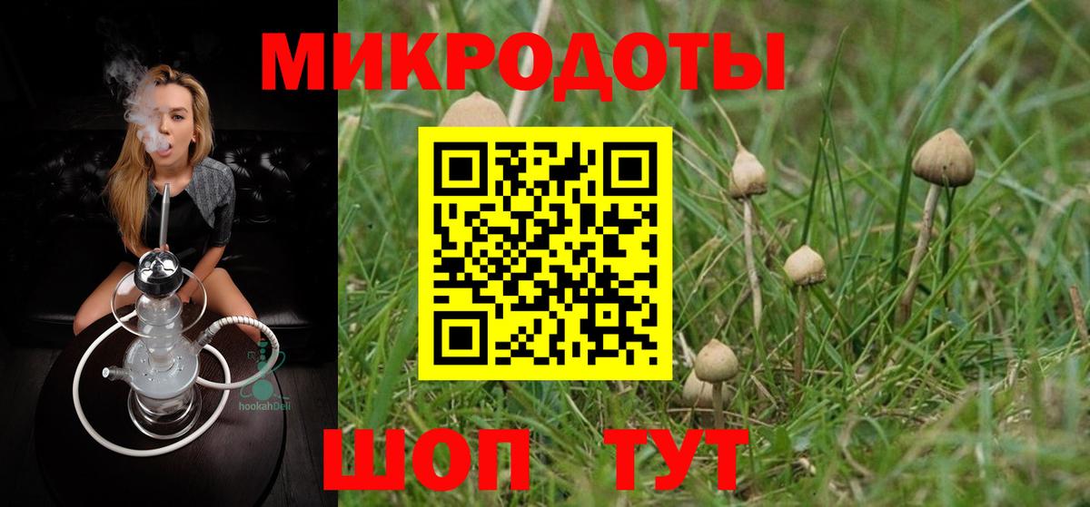 Псилоцибиновые грибы GOLDEN TEACHER Полысаево