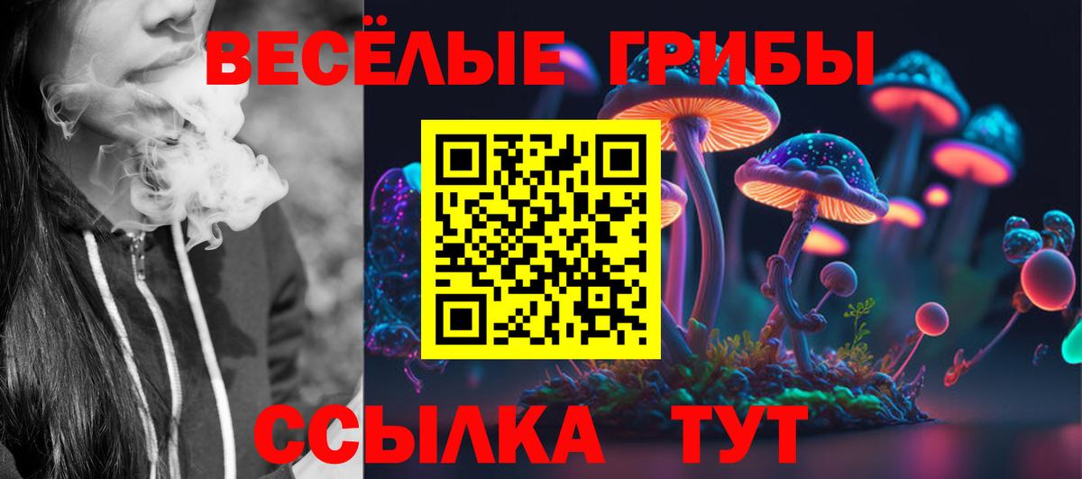 Полысаево  Псилоцибиновые грибы Psilocybe  Вход с VPN 